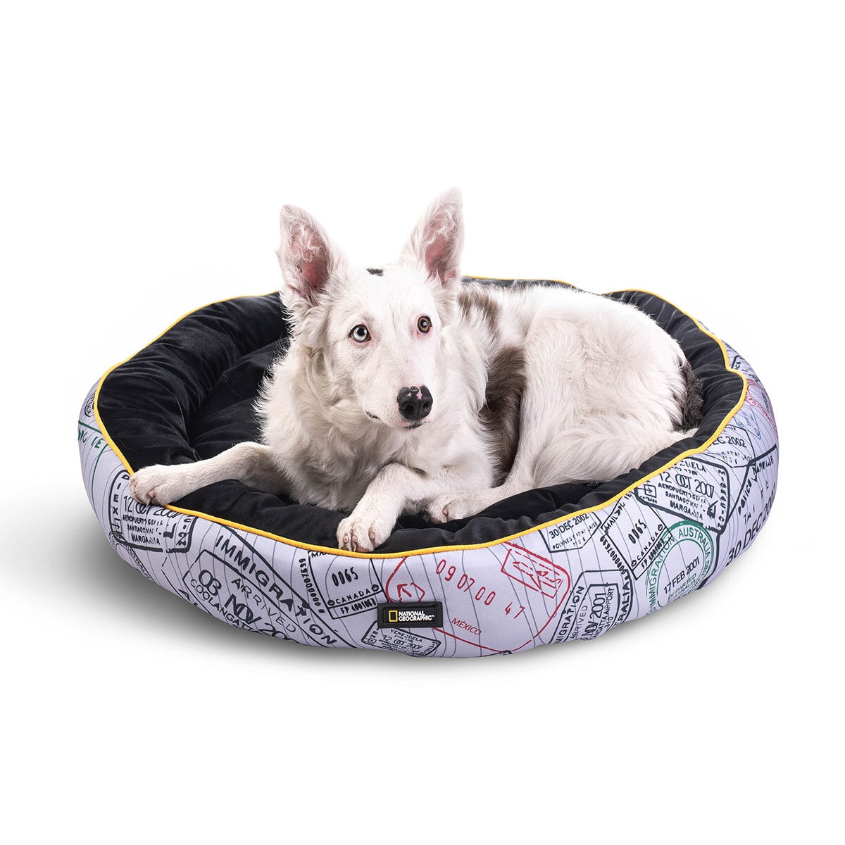 National Geographic Apolo Cama para Perro Passport Cost