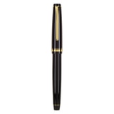 Pilot Falcon pluma fuente punto fino plumilla semiflexible de oro