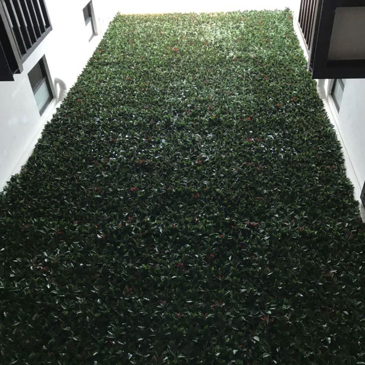 Green Smart, Panel de Follaje Sintético, Modelo Laurel