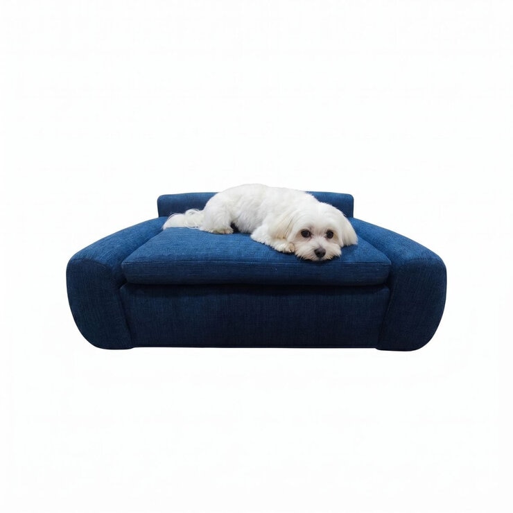 Maypet, Sofa para Mascota, Color Azul, Capacidad hasta 25 kg Maypet, Sofa para Mascota, Color Azul, Capacidad hasta 25 kg