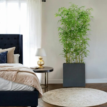 CG Hunter, Bambú de Aspecto Natural