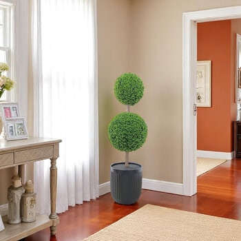 CG Hunter, Árbol Topiario de Boj de Aspecto Natural CG Hunter, Árbol Topiario de Boj de Aspecto Natural