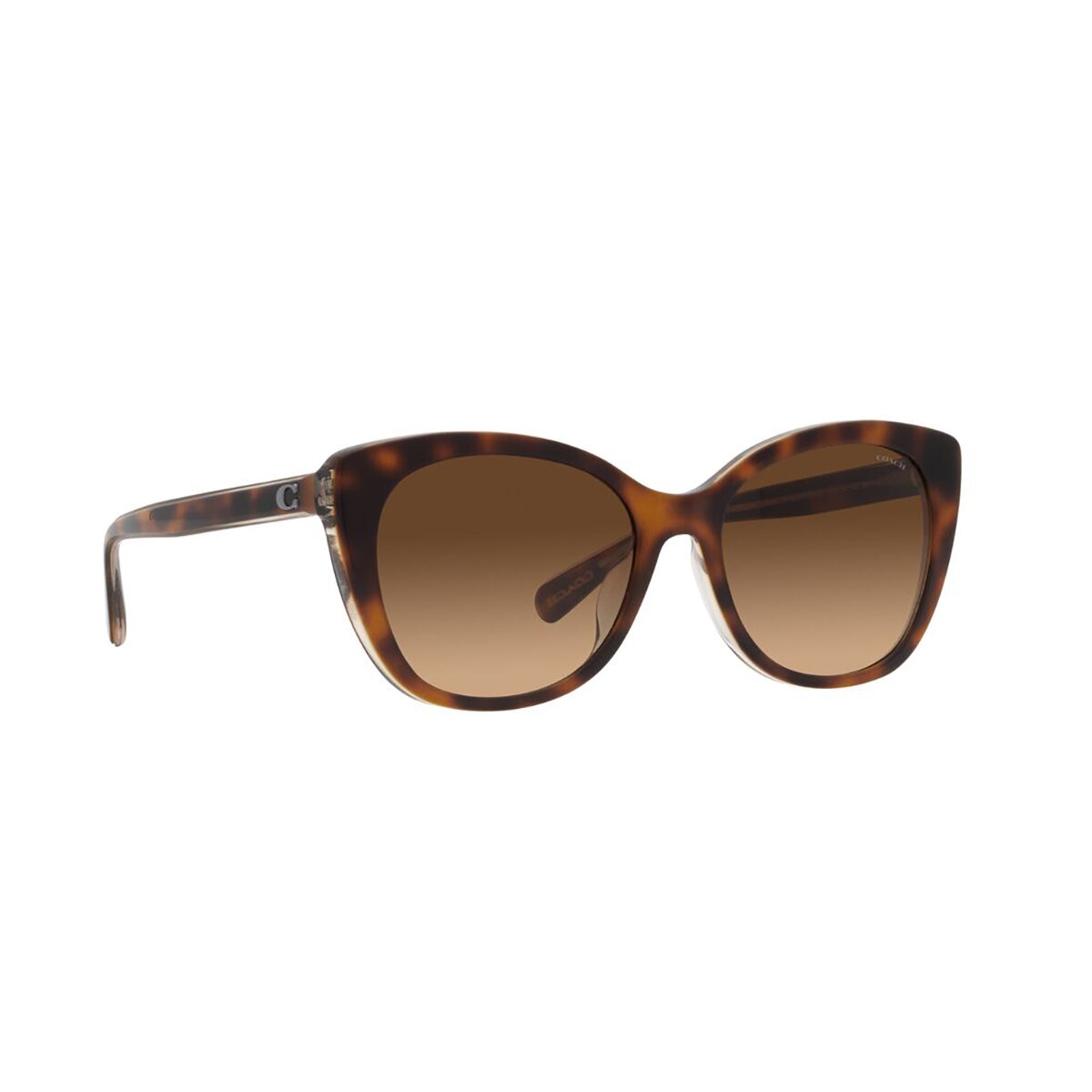 Coach 0HC8365U57427455 Lentes de Sol