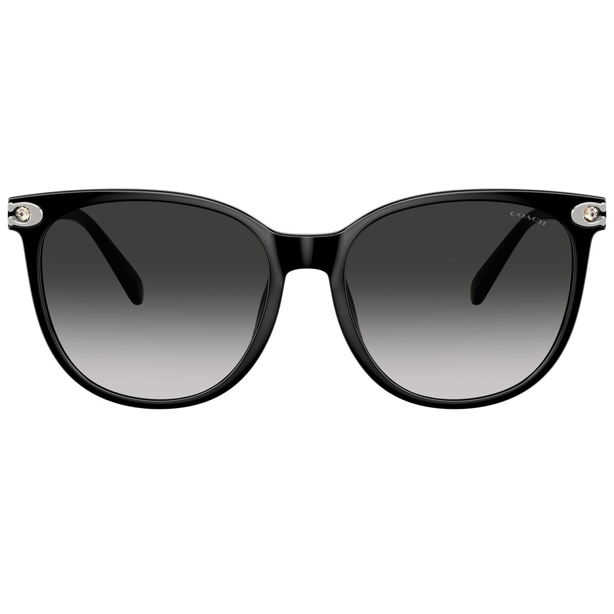 Coach 0HC8414BD50023C57 Lentes de Sol