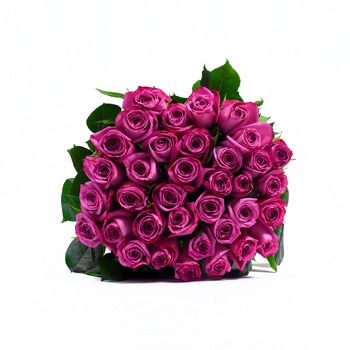 Chiltepec, Bouquet de 36 Rosas Lila
