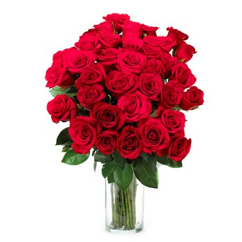 Chiltepec, Bouquet de 36 Rosas Color Rojo