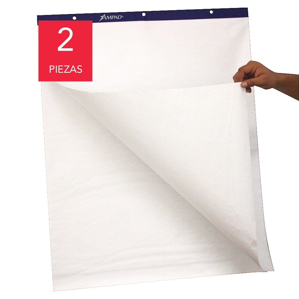 Ampad rotafolio blanco Costco México