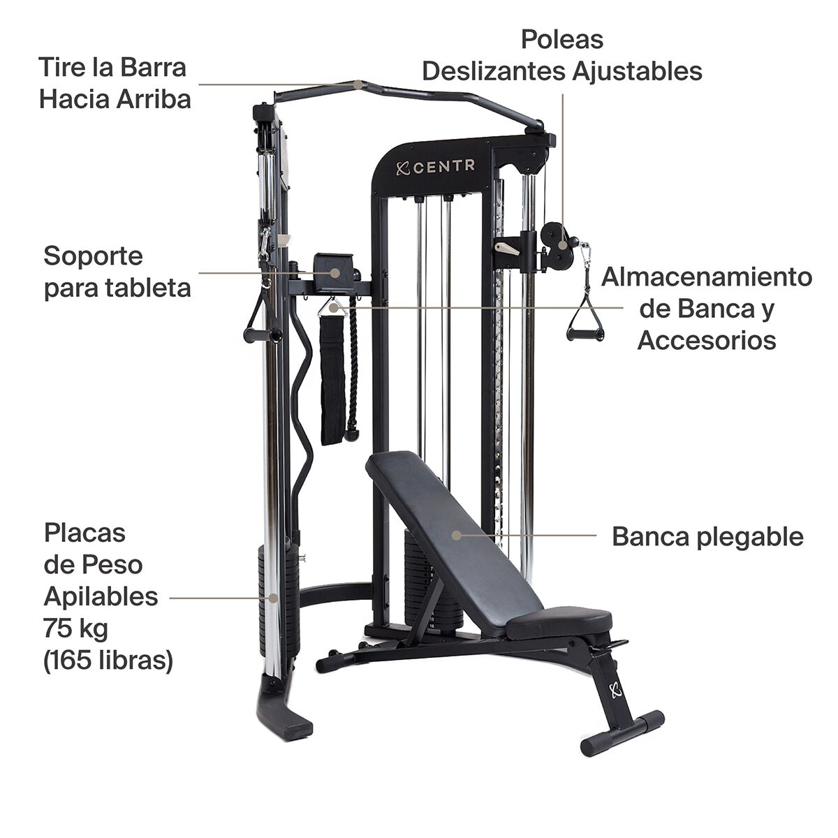 Centr Gimnasio FTX con Banca Plegable