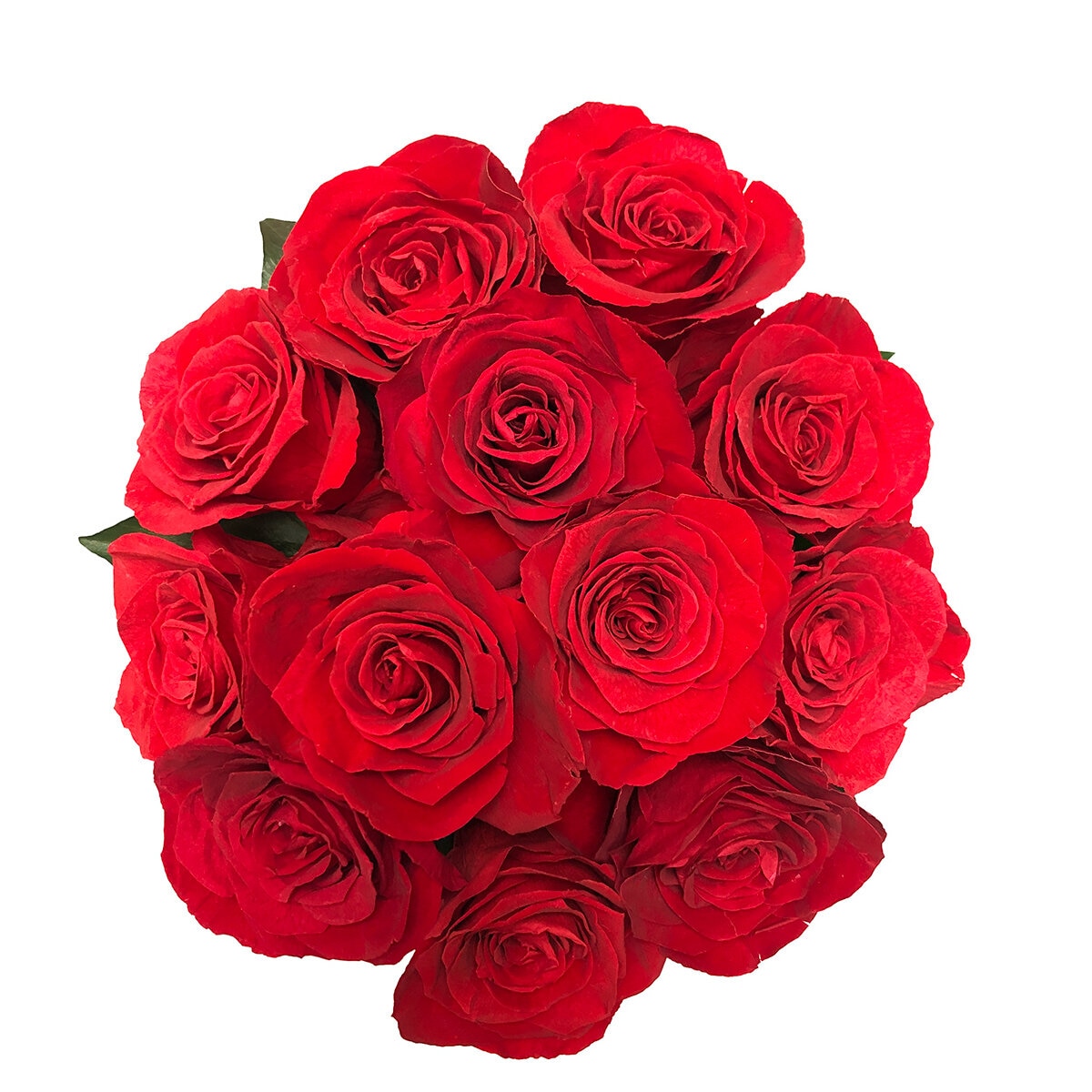 Mina'an Flor Eterna, Bouquet 12 Rosas con Flores y Follaje Preservados, Duración 6 Meses Mina'an Flor Eterna, Bouquet 12 Rosas con Flores y Follaje Preservados, Duración 6 Meses