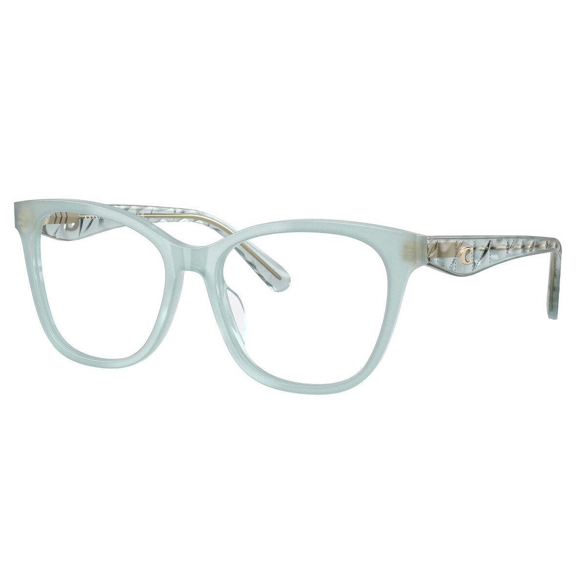 Coach 0HC6256U Armazón Oftálmico