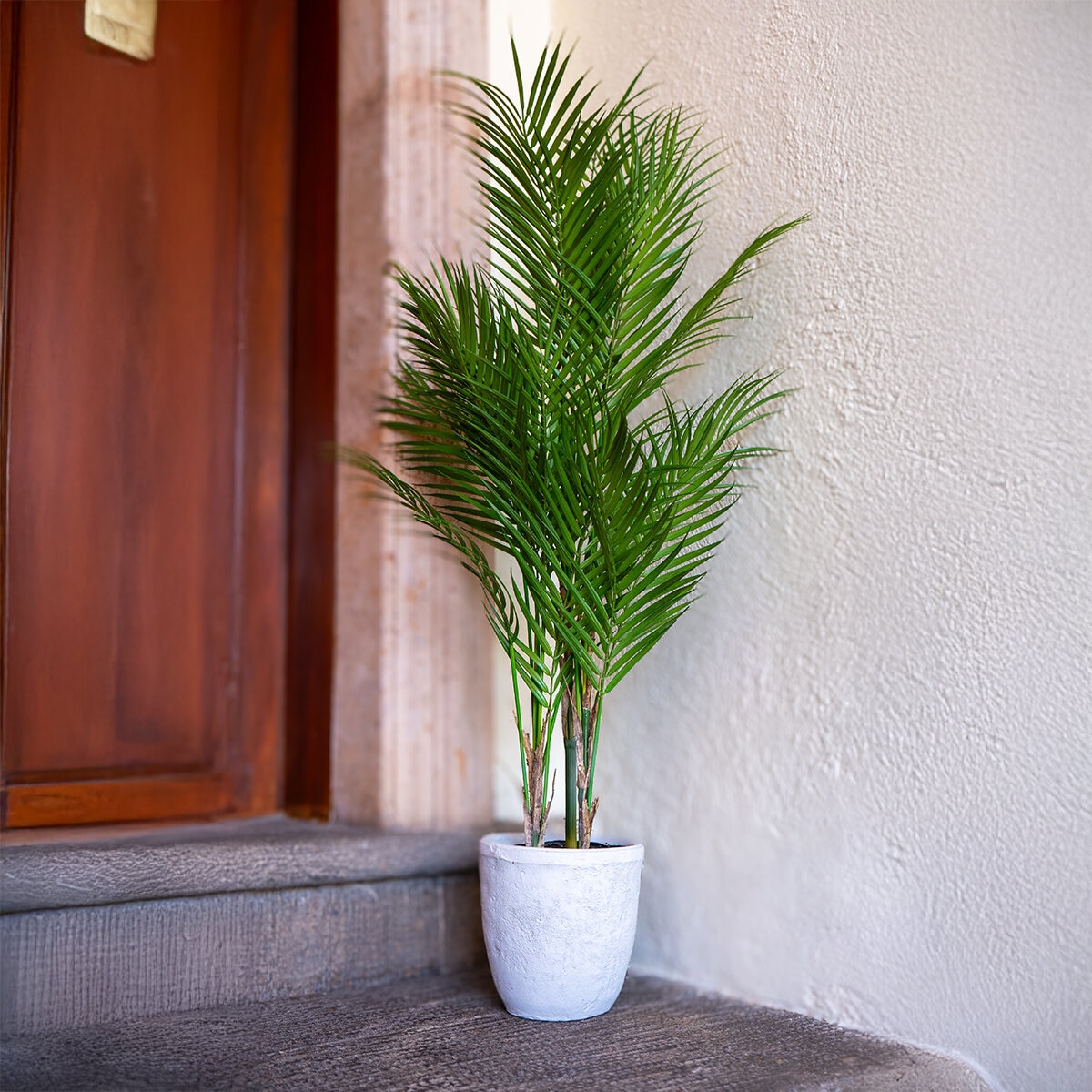 Apariencia Natural, Palmera Areca Artificial