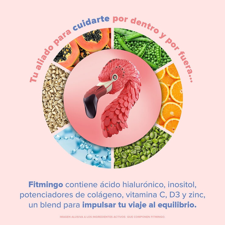 Birdman Fitmingo Proteína Vegetal Sabor Moka 1.496 kg