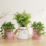 Estudio Floga, Macetas en Forma de Costal 3 piezas Estudio Floga, Macetas en Forma de Costal 3 piezas