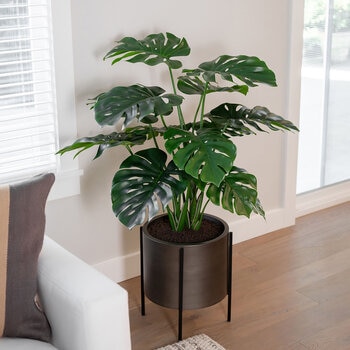 CG Hunter, Árbol Artificial de Monstera con base