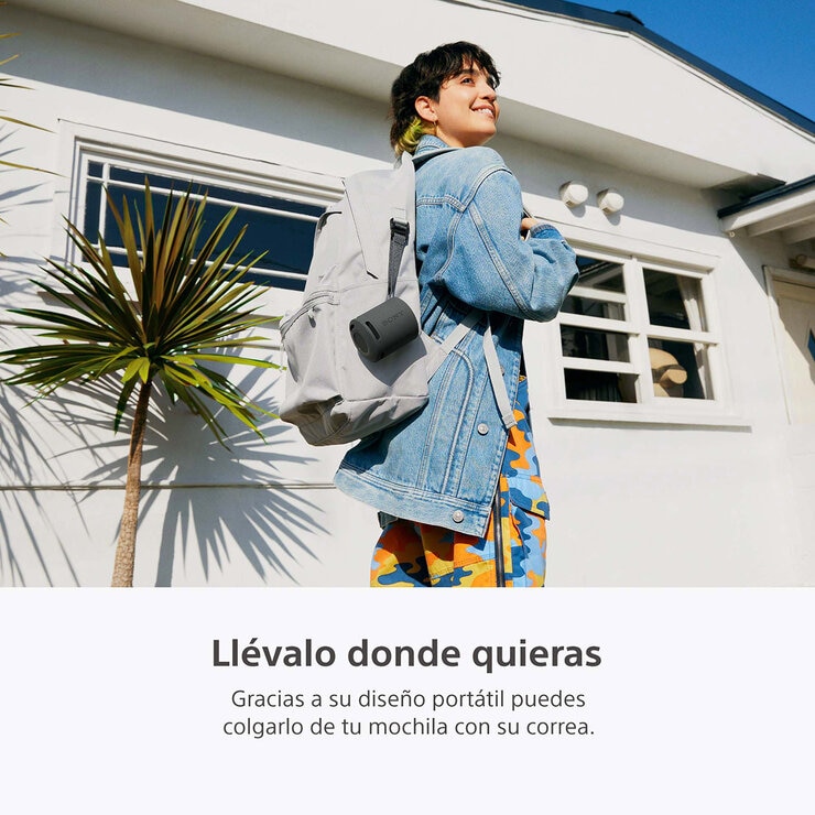 Sony SRS-XB100 Bocina Inalámbrica Portátil Negro