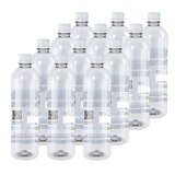 Zoé Water Agua Alcalina 12 pzs de 500 ml