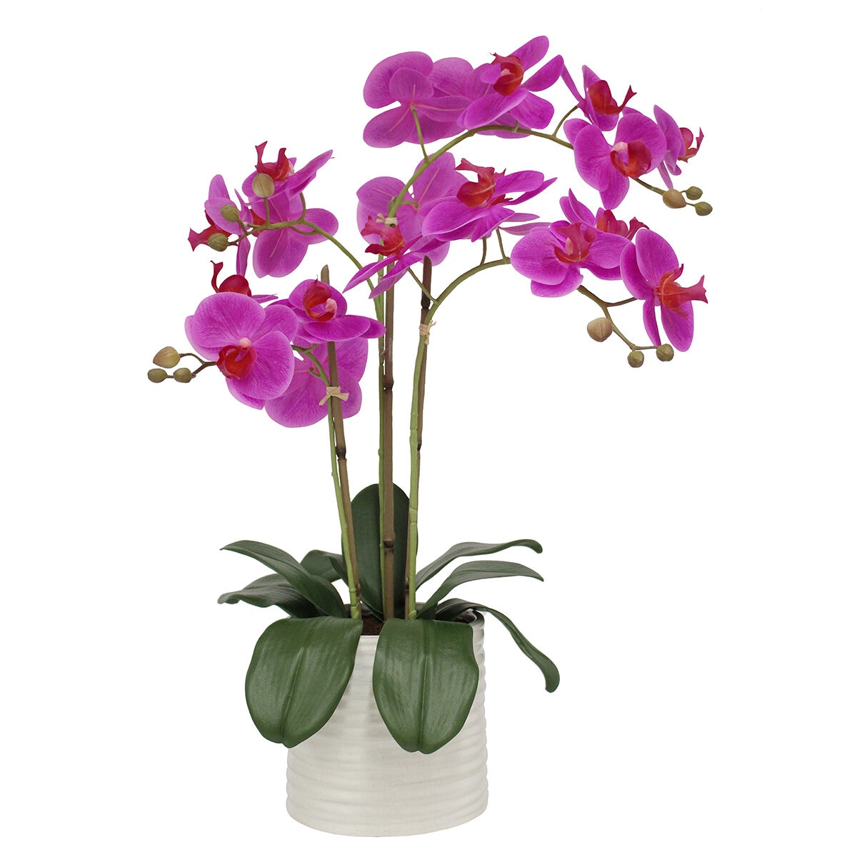 CG Hunter, Arreglo de Orquídeas de Aspecto Natural Rosa