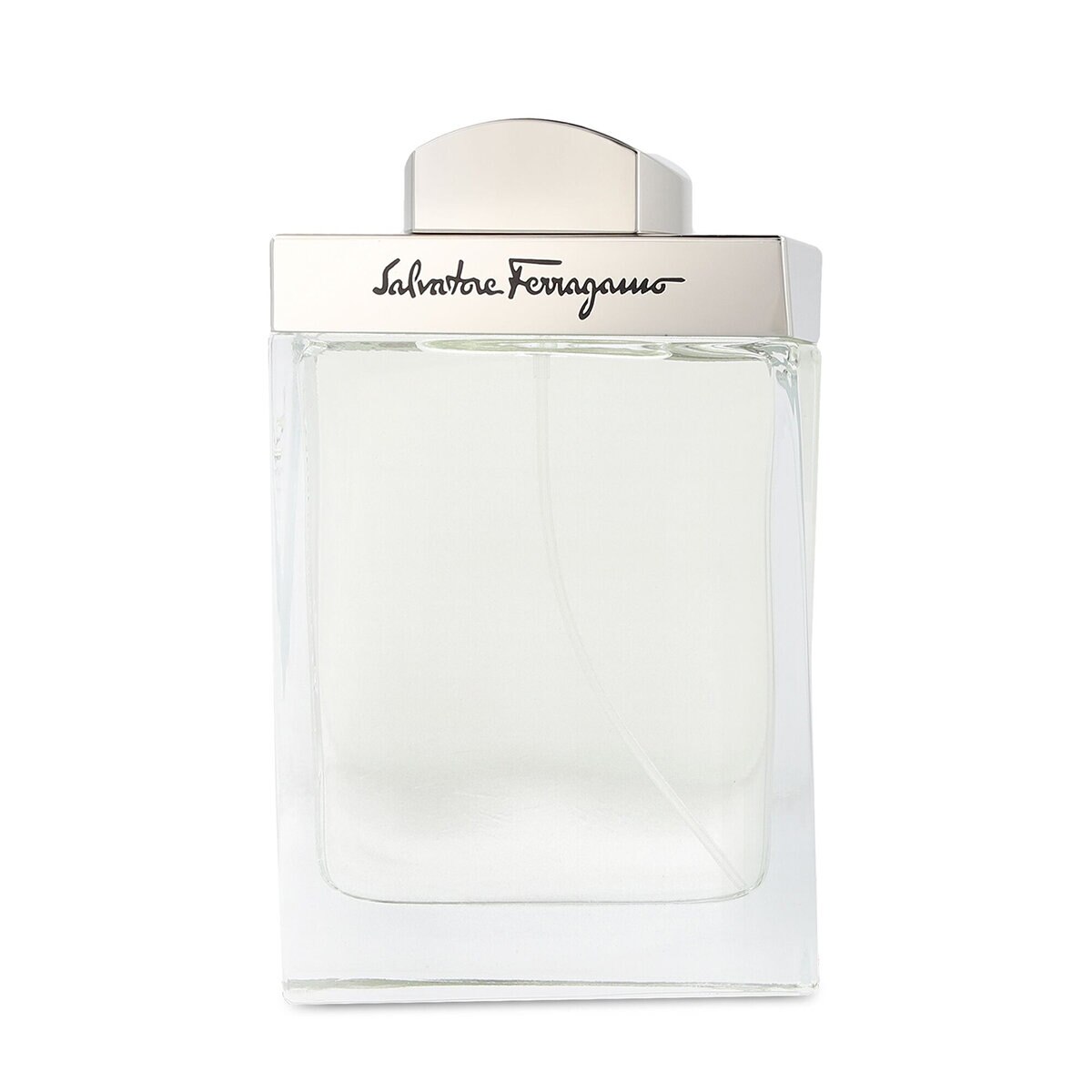 Salvatore Ferragamo Pour Homme 100 ml Salvatore Ferragamo Pour Homme 100 ml