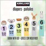 Kirkland Signature Pañales Etapa 5 Unisex 168 pzas