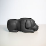 Estudio Floga, Molcas Maceta de Perro Negro