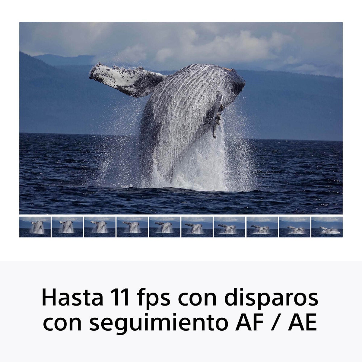 Sony Cámara Digital Mirrorless APS-C ILCE-6100K + Lente SELP16502