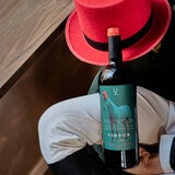 Vino Tinto Virtus Gran Reserva 750ml
