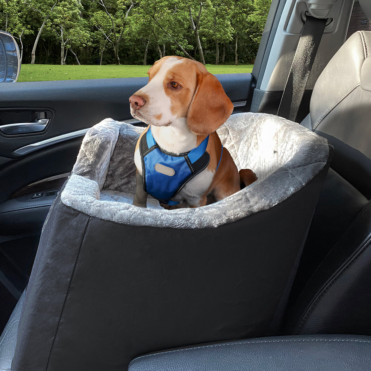 Arlee Asiento para Perro 1 pza
