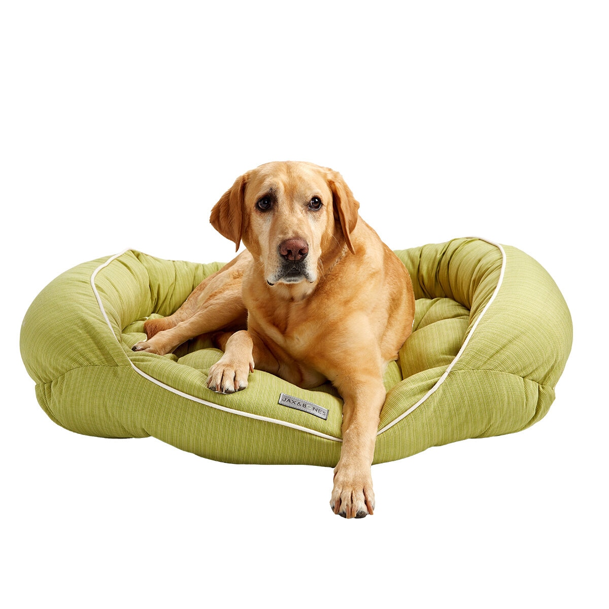 Jax & Bones Cama para Perro