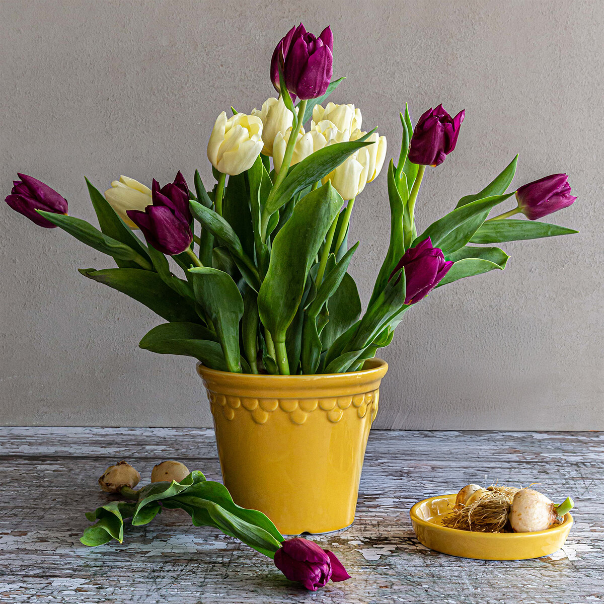 Over & Back, Chelsea Set de 2 Macetas de Cerámica Amarillas