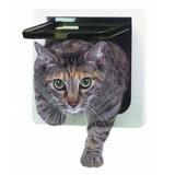Ideal Pet Products Puerta Chica para Gato