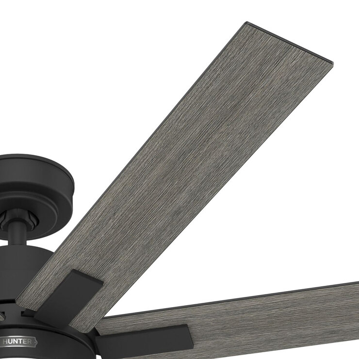 Hunter, Ventilador Loflin Color Negro