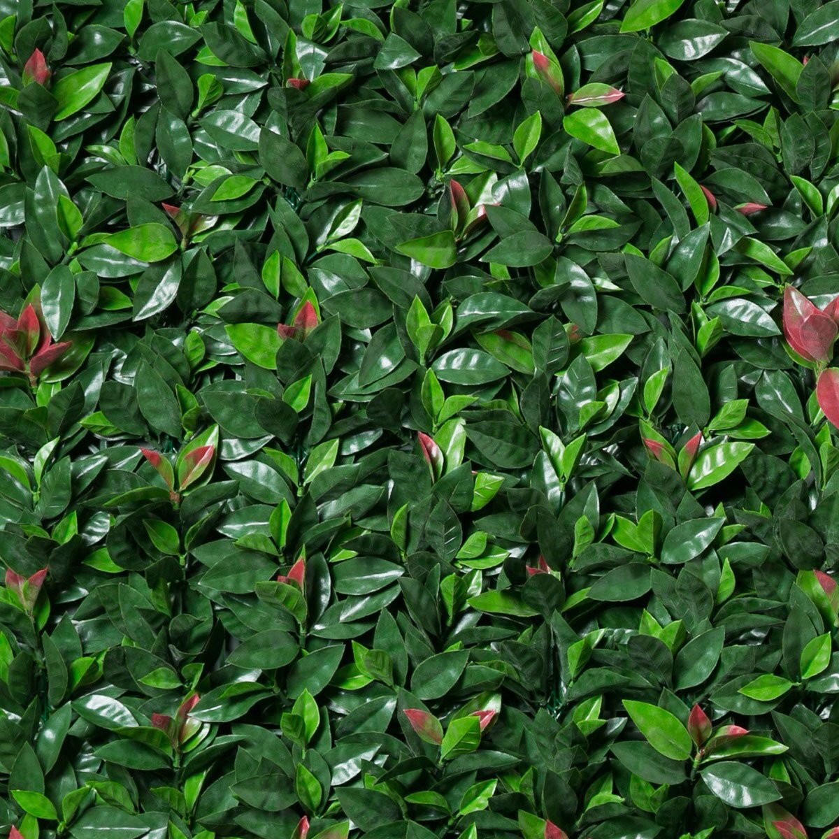 Green Smart, Panel de Follaje Sintético, Modelo Laurel