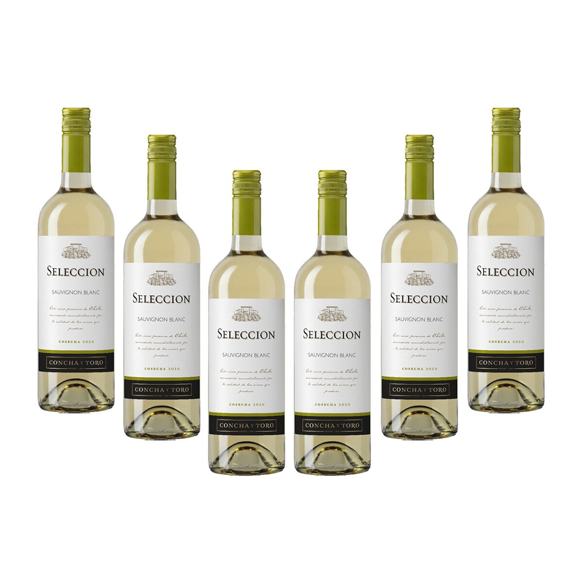 Vino Blanco Seleccion Concha y Toro 6/750ml