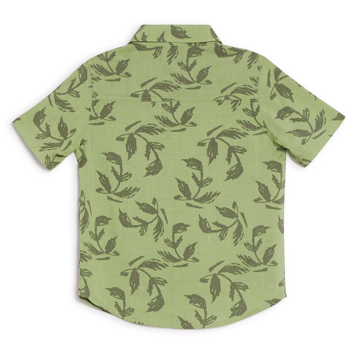 Koala Kids Conjunto 2 piezas para Niños y Niñas Verde 3 Años