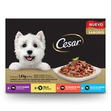 Cesar Alimento Húmedo para Perro Multisabor 24 pzas de 75 gr