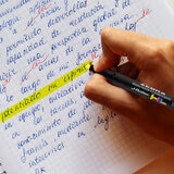 Zebra Set de Journaling 35 Piezas