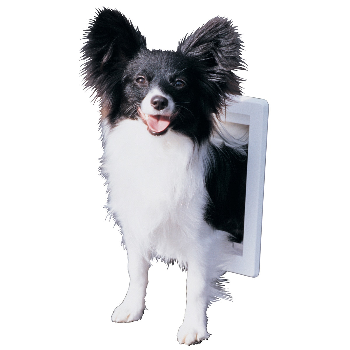 Ideal Pet Products puerta de plástico para perro de raza chica