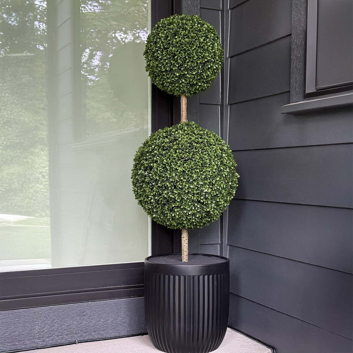 CG Hunter, Árbol Topiario de Boj de Aspecto Natural