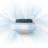 Winix Purificador de Aire C545 , incluye filtros True HEPA para dos años