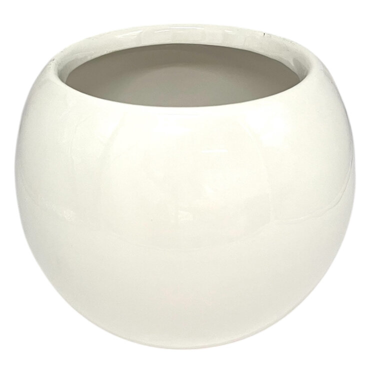 PREVENTA Chiltepec, Orquidea Sorpresa con Maceta para Día de las Madres