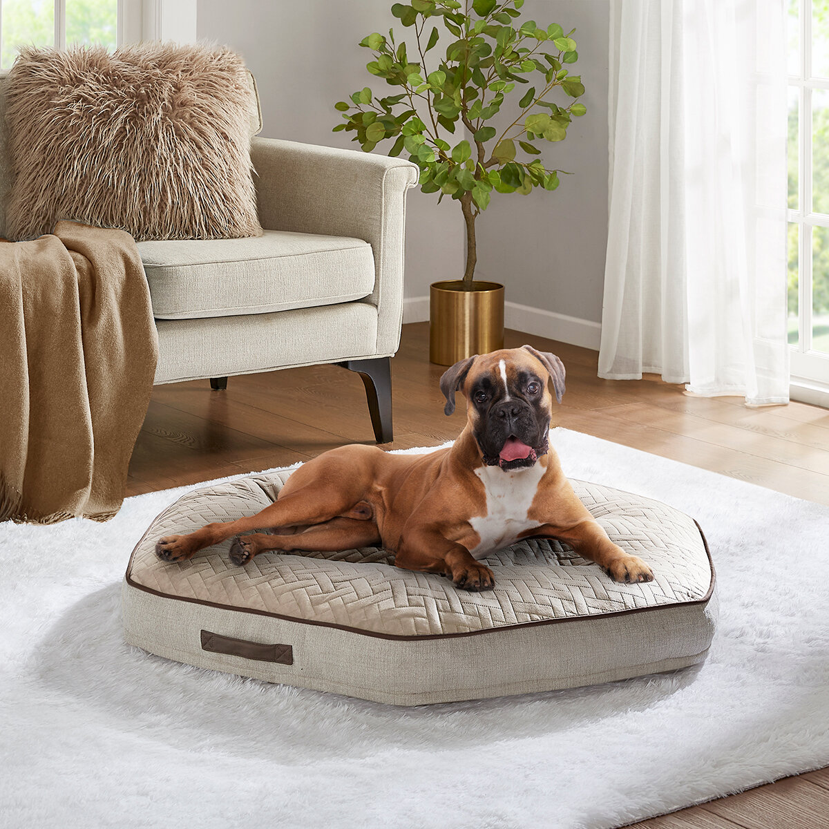 Kirkland Signature Cama Hexagonal para Mascotas