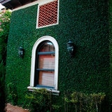 Green Smart, Panel de Follaje Sintético, Modelo Ficus