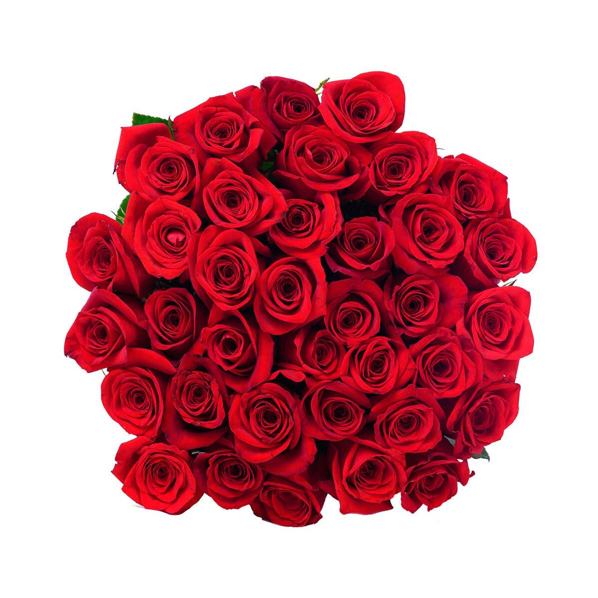 Chiltepec, Bouquet de 36 Rosas Rojas con Florero de Vidrio [Preventa]