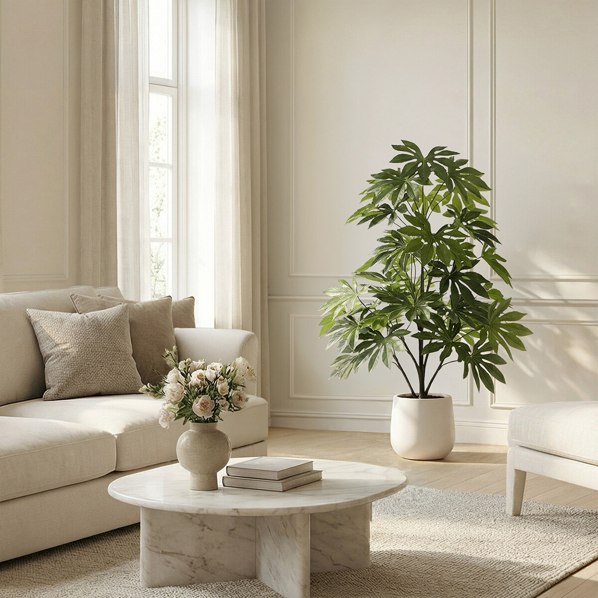 CGH, Árbol de Aralia de Aspecto Natural CGH, Árbol de Aralia de Aspecto Natural