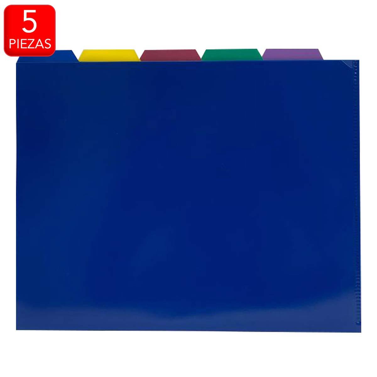 Pendalfex Organizador con 5 Folders Removibles Costco M...