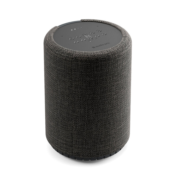 Audio Pro G10 Bocina Bluetooth con Google Assistant y Airplay 2 Audio Pro G10 Bocina Bluetooth con Google Assistant y Airplay 2