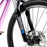 Bicicleta de Montaña R24 Alubike Sierra Rosa