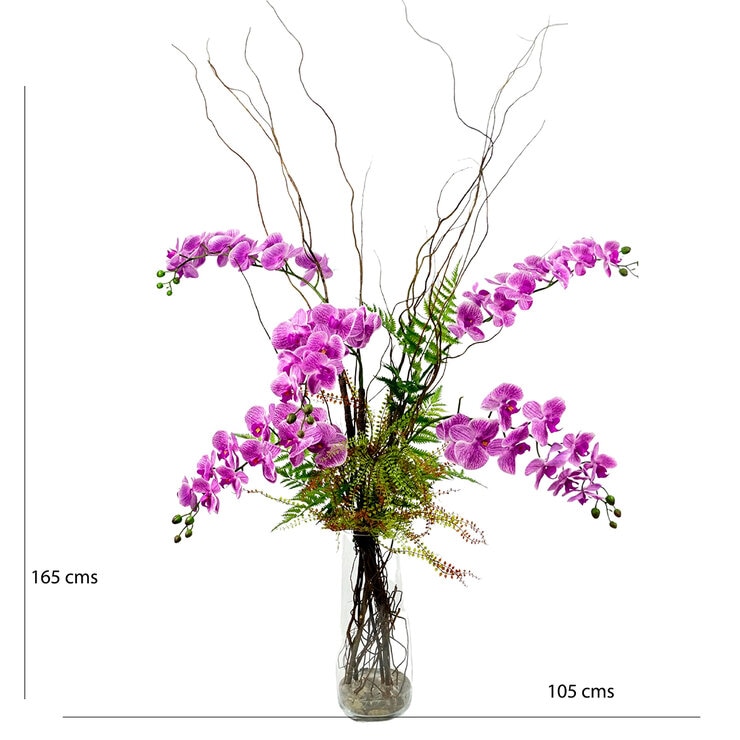 Zazh, Arreglo Floral de Orquideas, Orquidea magenta Zazh, Arreglo Floral de Orquideas, Orquidea magenta