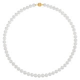Collar de Perlas Cultivadas, 6.5-7.0mm, Oro Amarillo de 14K