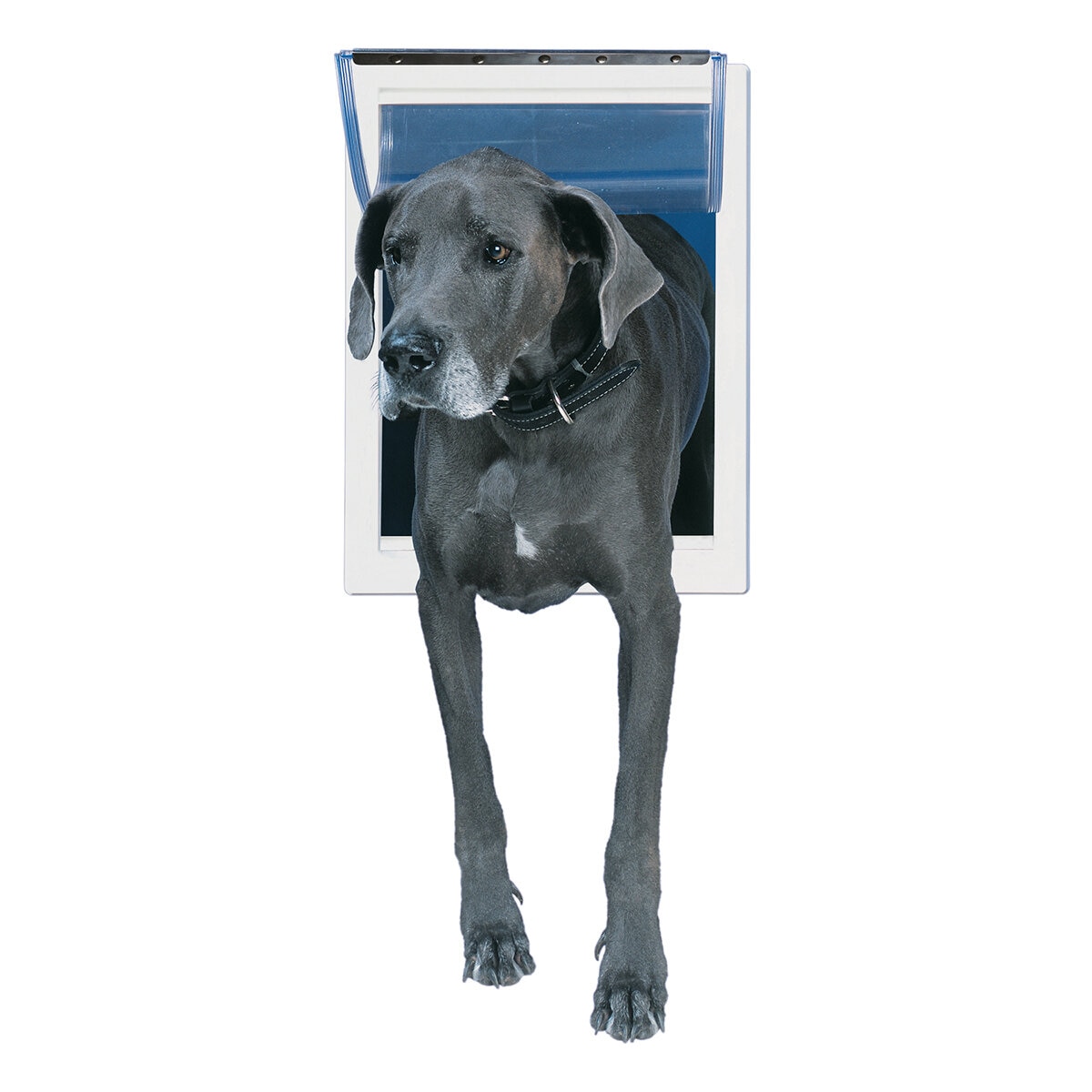 Ideal Pet Products Puerta de Plástico para Perro de Raza Extragrande